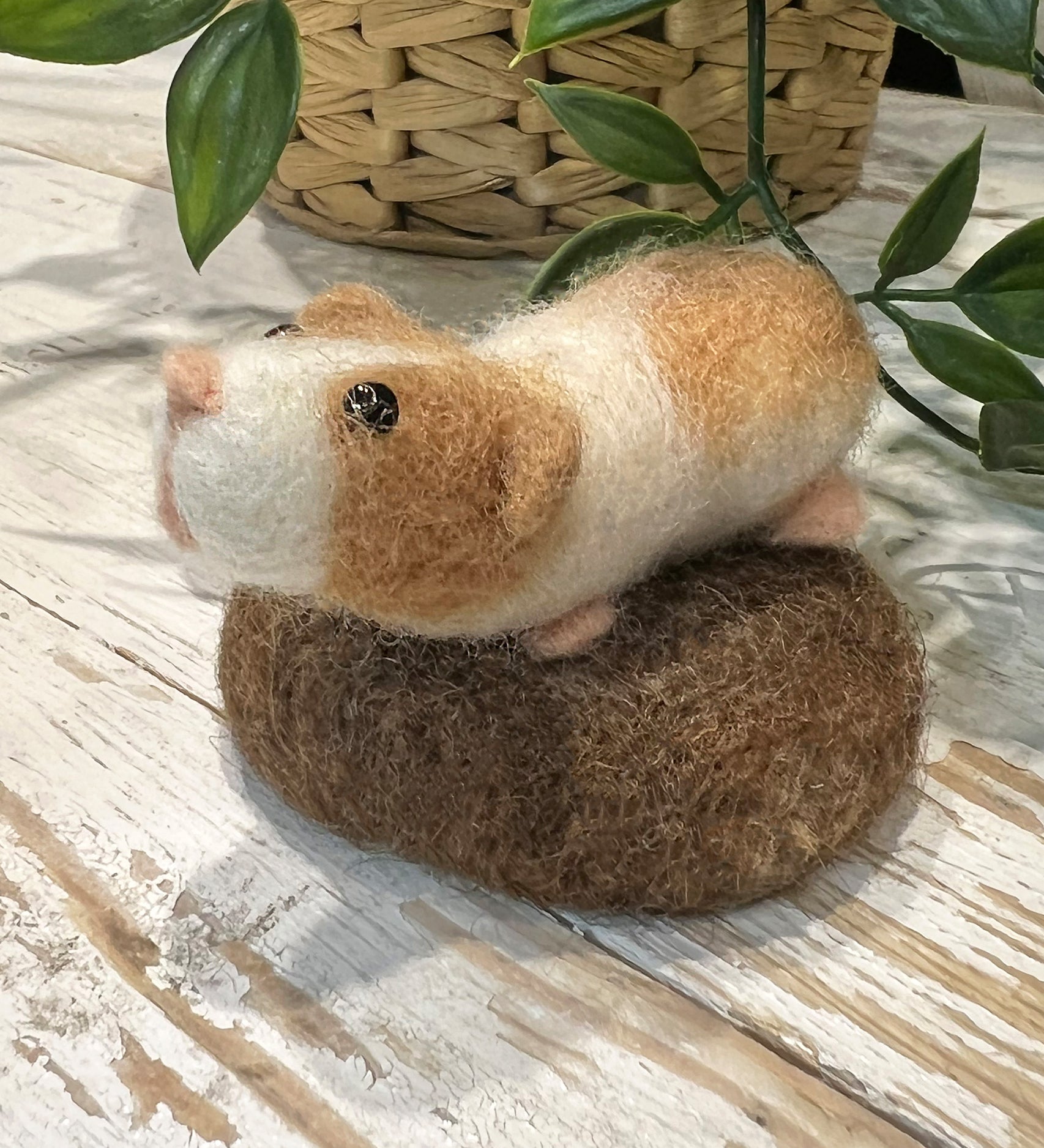 A finished The Makerss - Amiguwoolli Guinea Pig on a wooden table