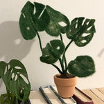 The Makerss - Kit de petit feutre aiguilleté Monstera Plant