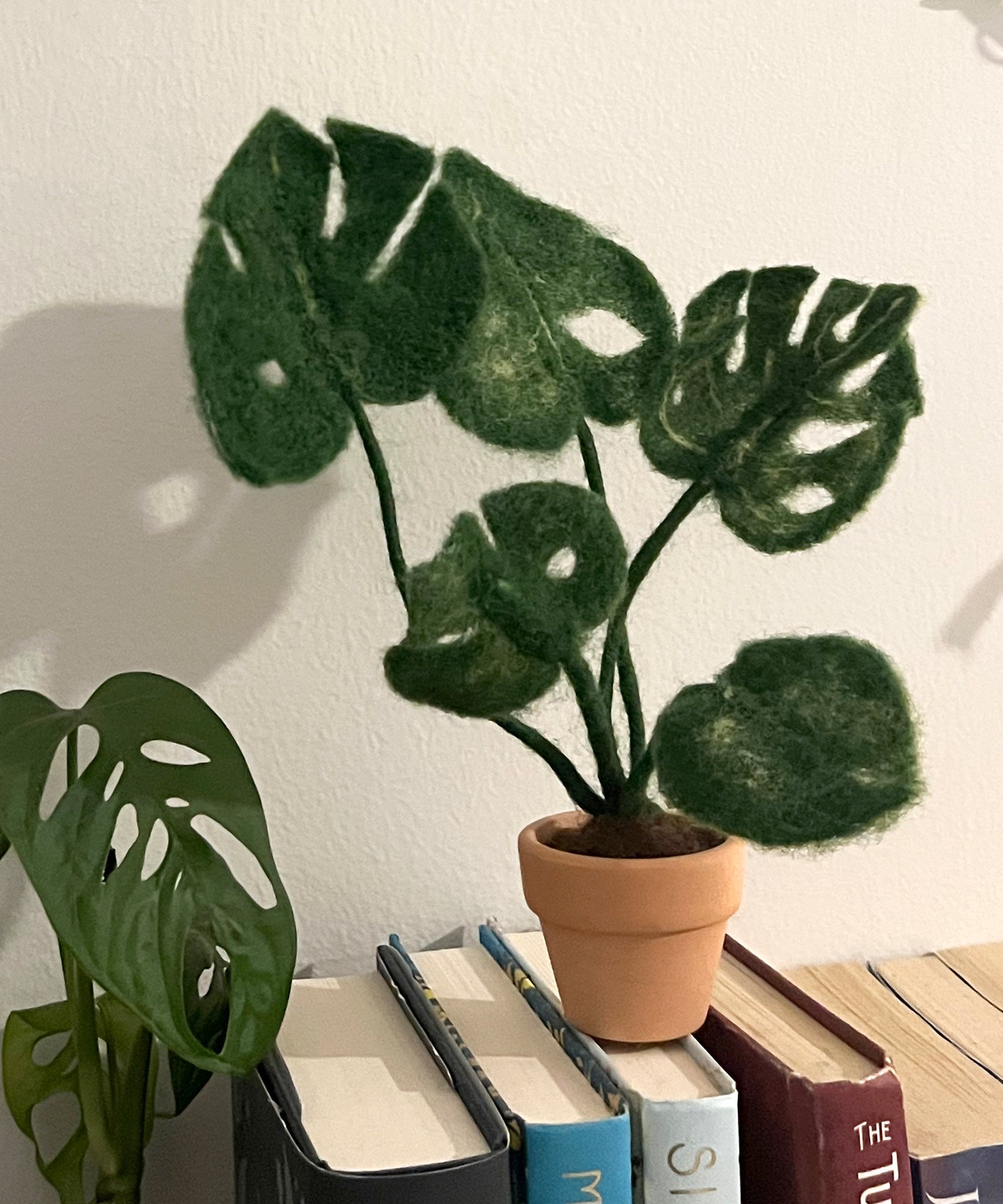 The Makerss - Monstera Plant Small Needle Felt Kit, stood on a stack of books