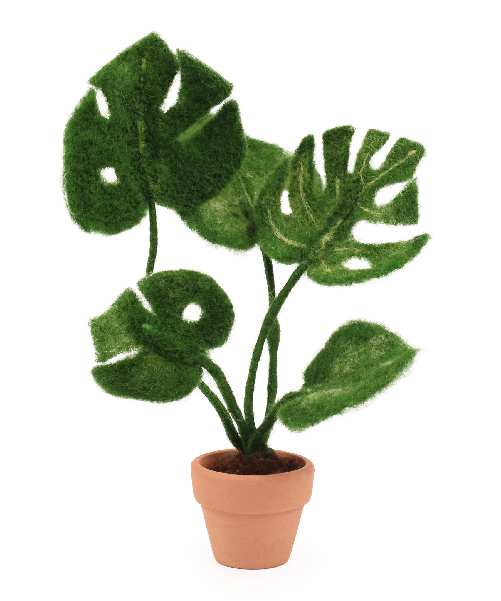 The Makerss - Monstera Plant Small Needle Felt Kit