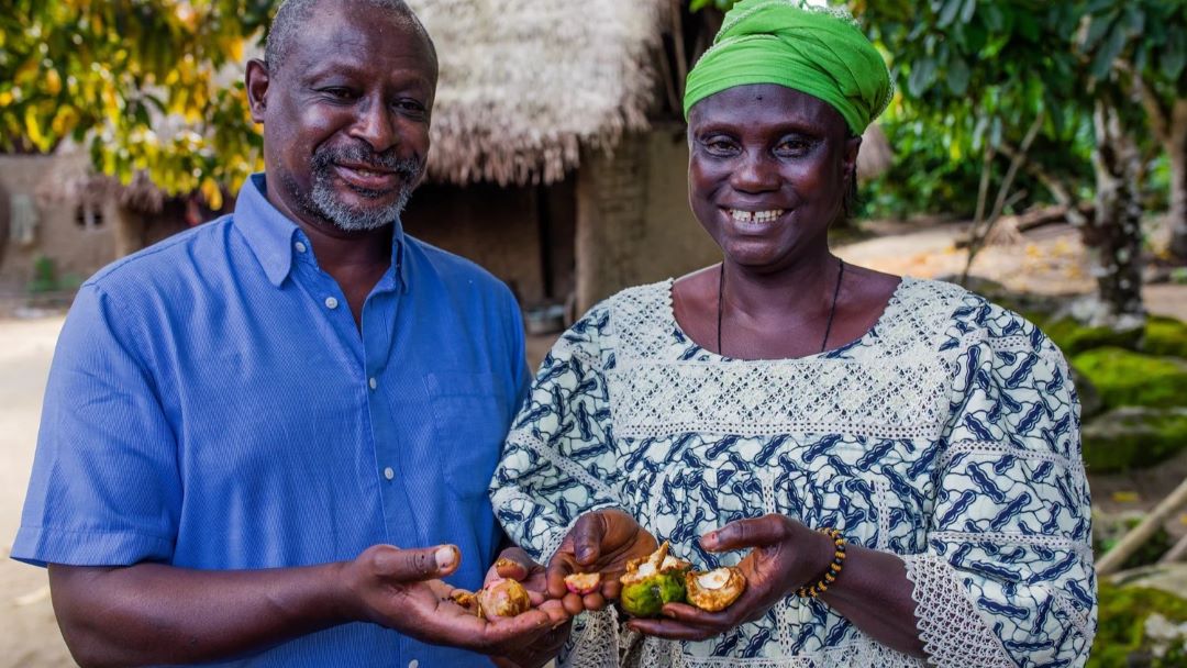 Albert Tucker, Chair of The Karma Cola Foundation & Chief Kadi, democratically elected leader of Boma village in Sierra Leone, a cola nut growing community. 