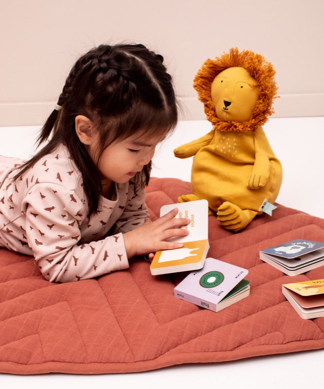 Child laying on a blanket with a lion cuddly toy reading Trixie Little Library board books.