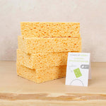 A Slice Of Green Cellulose Household Sponge