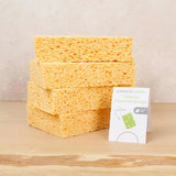 A Slice Of Green Cellulose Household Sponge