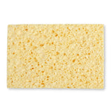 A Slice Of Green Cellulose Household Sponge