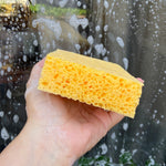 A Slice Of Green Cellulose Household Sponge