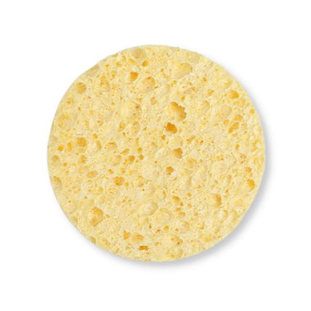 A Slice of Green natural cellulose facial cleansing sponge on a white background