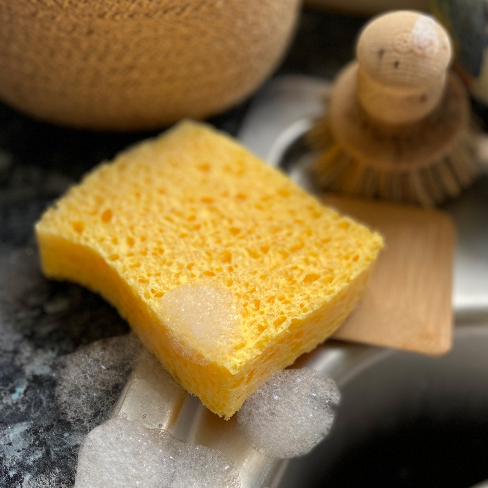 Close up the A Slice of Green cellulose kitchen sponge on a kitchen sink