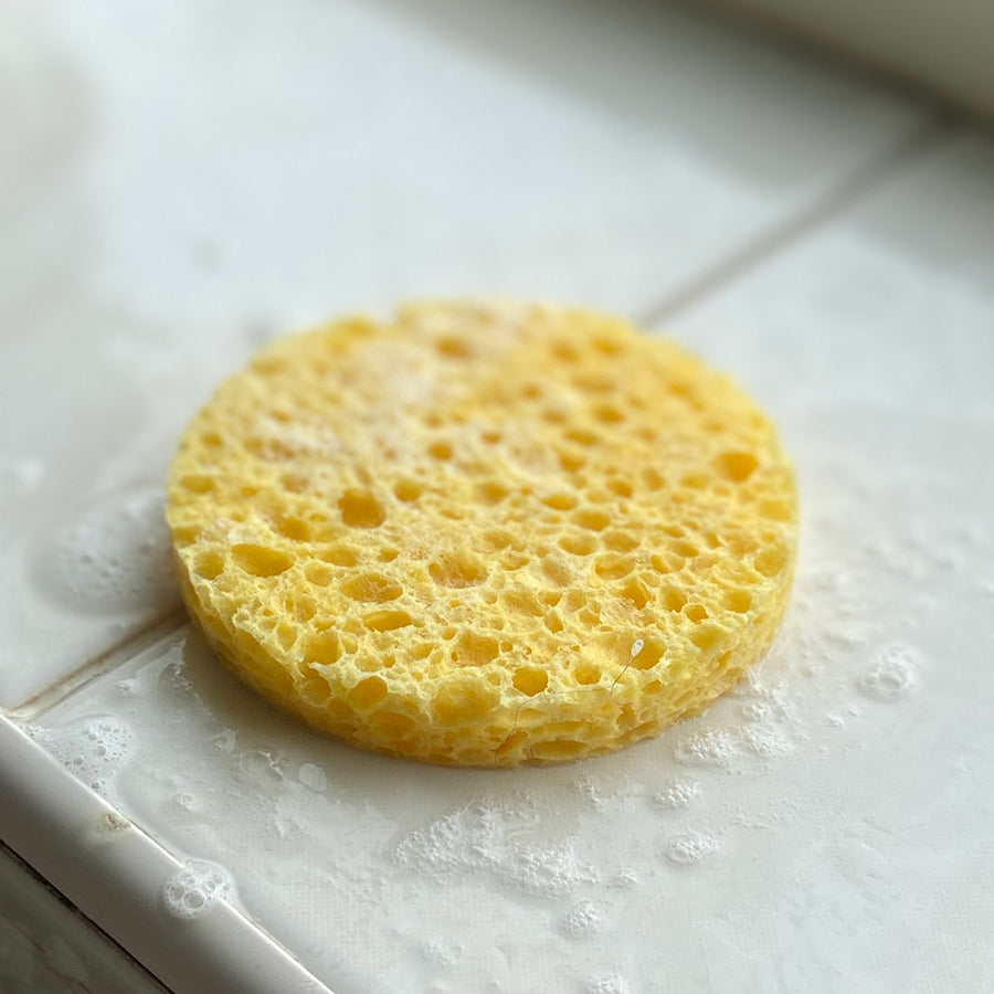 Close up of the A Slice of Green compostable facial sponge on a white tile surface