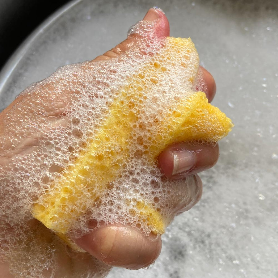 Hand squeezing bubbles from the A Slice of Green natural cellulose reusable dish sponge