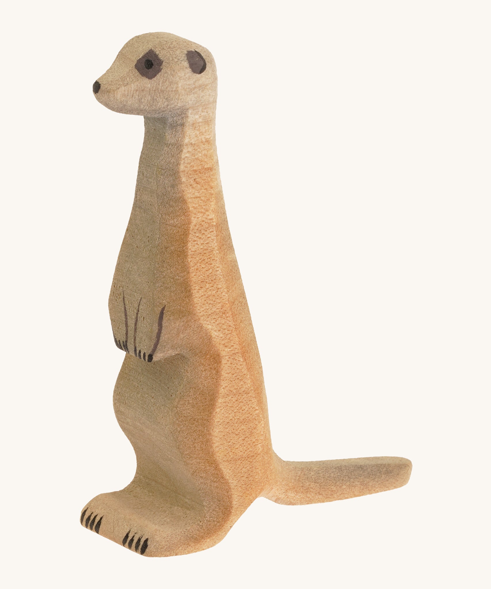 Light brown standing meerkat on a cream background