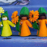 Close up of the yellow and orange calendula Ambrosius dolls on a blue metal background