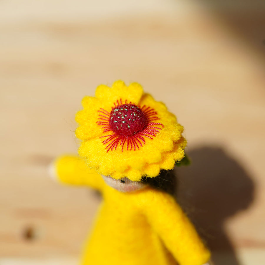 A close up of the flower on the head of the Ambrosius Firewheel Fairy