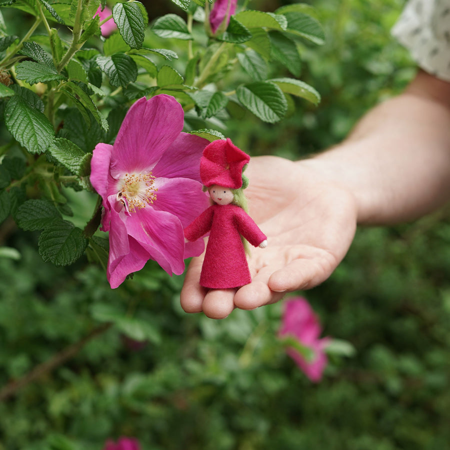 An Ambrosius Petunia Fairy pictured in an adults hand in front of a real flower outdoors