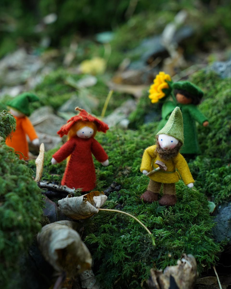 Close up of the Ambrosius rosehip girl stood next to the ambrosius dwarf father on some green moss