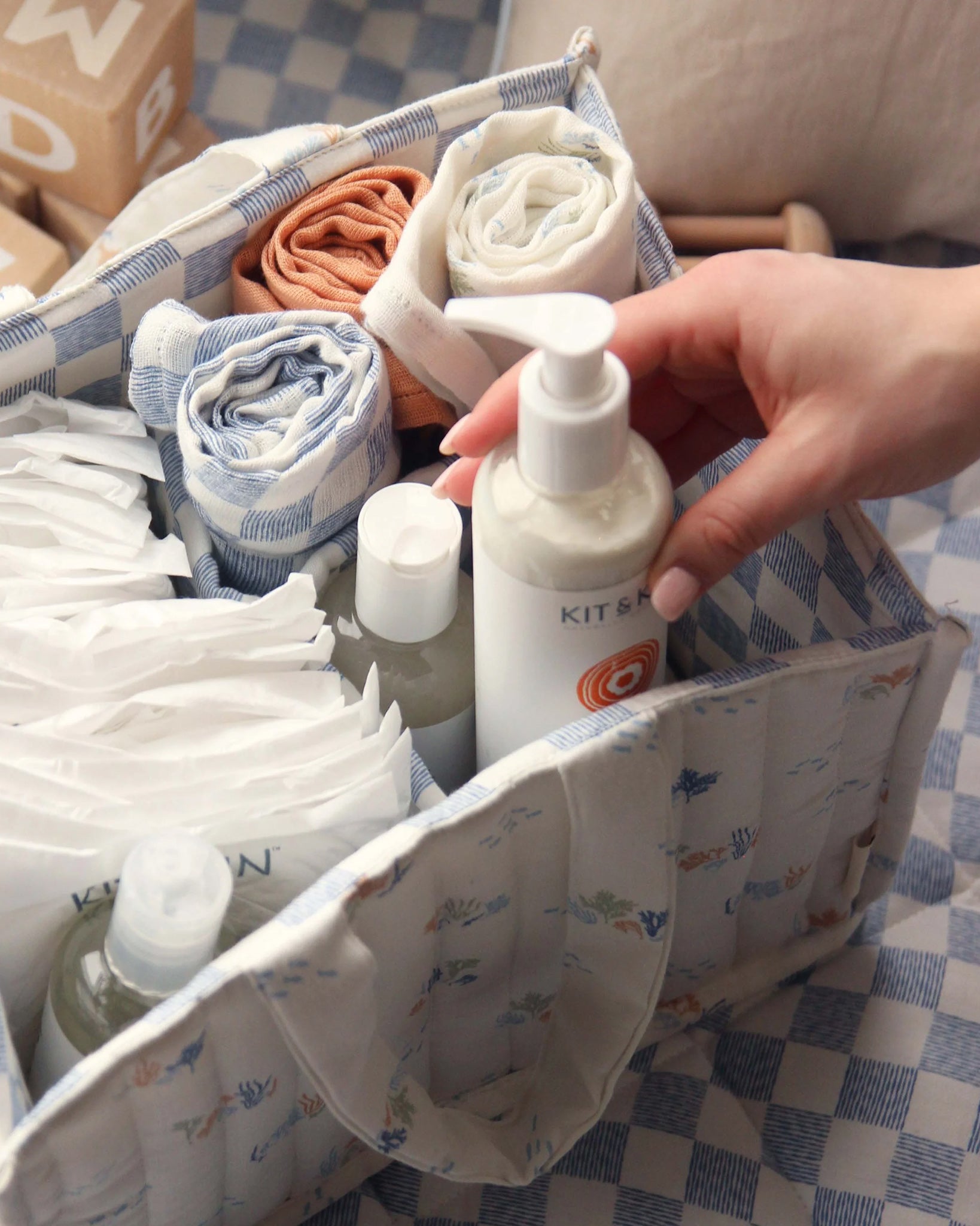  above a checked white and blue blanket and wooden blocks