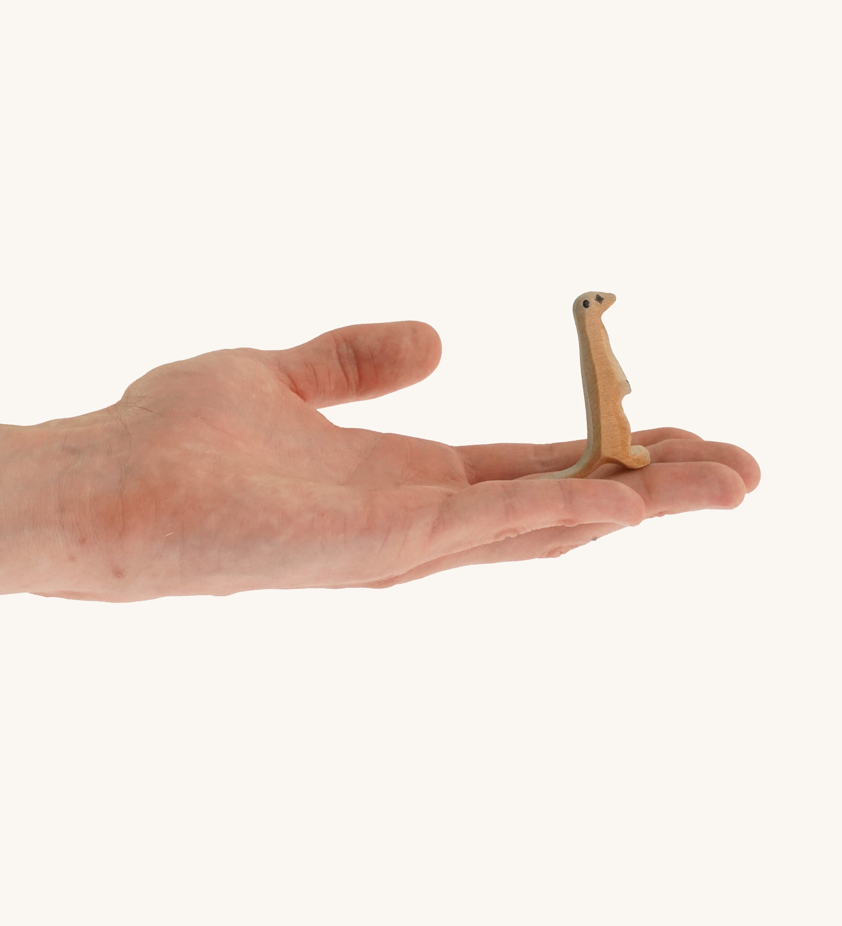 Light brown standing baby meerkat on a hand