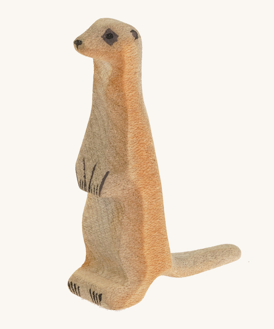 Light brown standing baby meerkat on a cream background