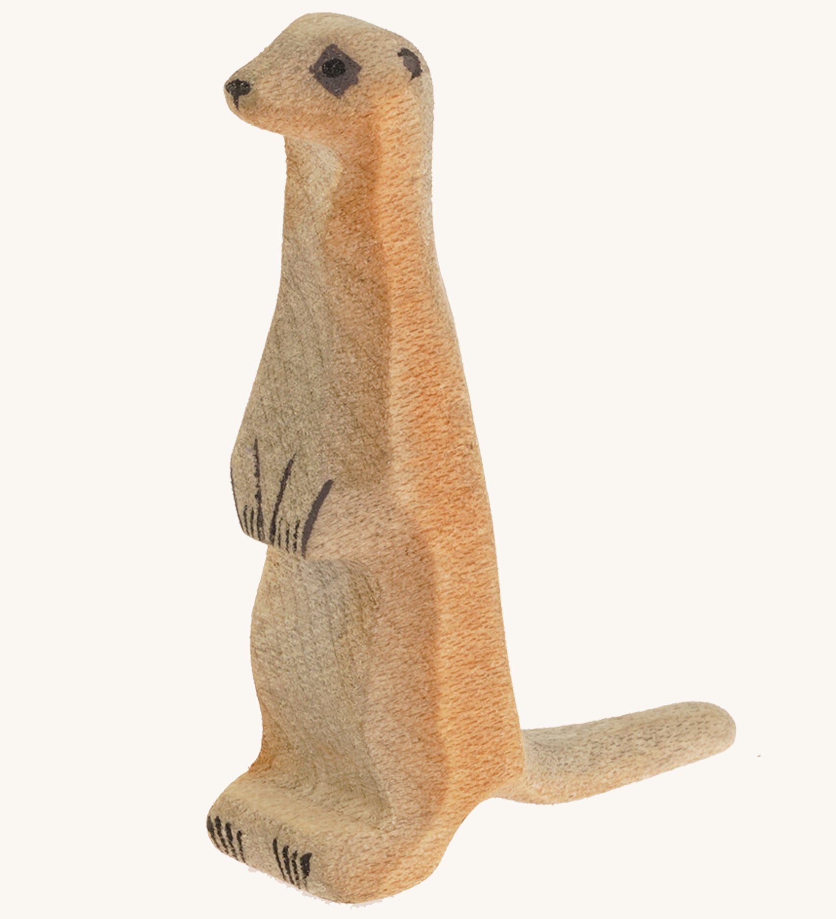 Light brown standing baby meerkat on a cream background