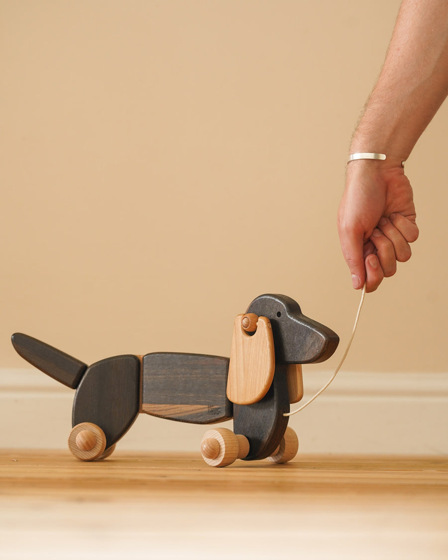 Close up of hand pulling the string on the Bajo dark oak dachshund pull along toy dog