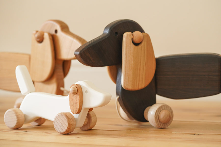 Close up of the Bajo dachshund puppy and pull along dachshund toys on a wooden floor