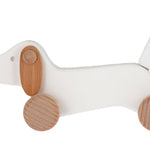 Bajo White Dachshund Puppy