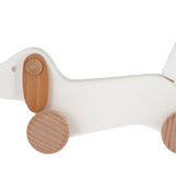 Bajo White Dachshund Puppy