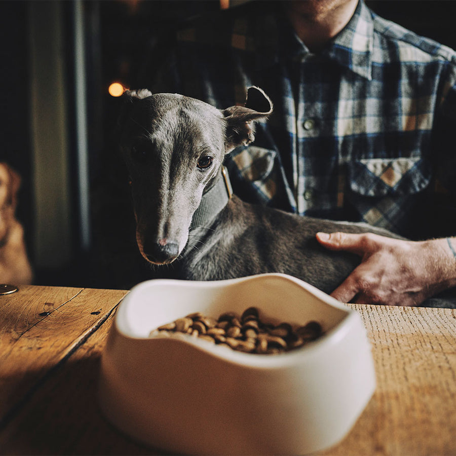 Dog sat on owners lap looking at Beco Pets sustainable bamboo pet food bowl