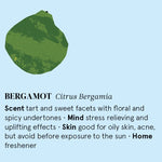 Bergamot Essential Oil 12ml