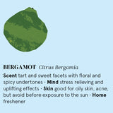 Bergamot Essential Oil 12ml