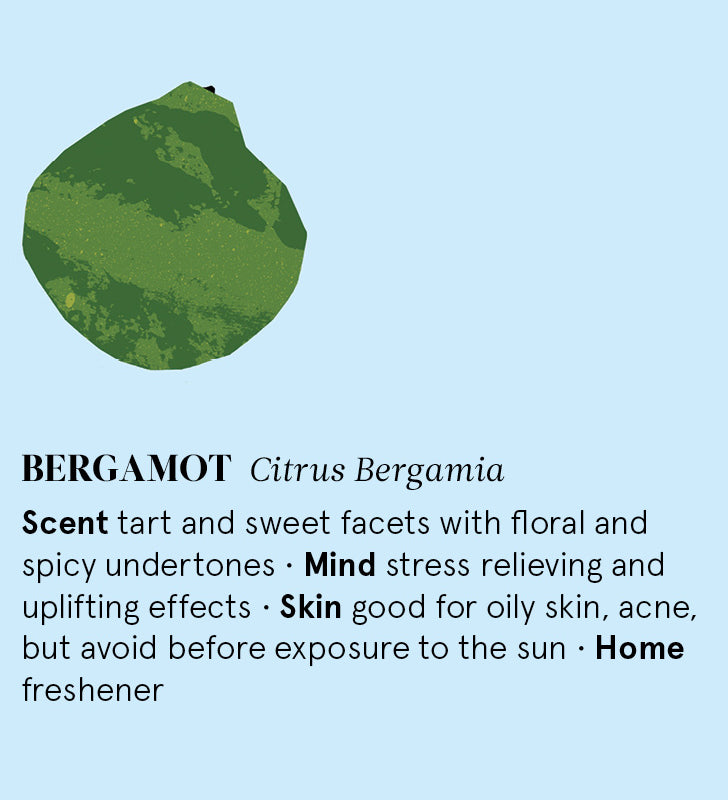 Infographic showing the main benefits of Bergamot essential oil.