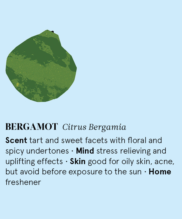 Infographic showing the main benefits of Bergamot essential oil.