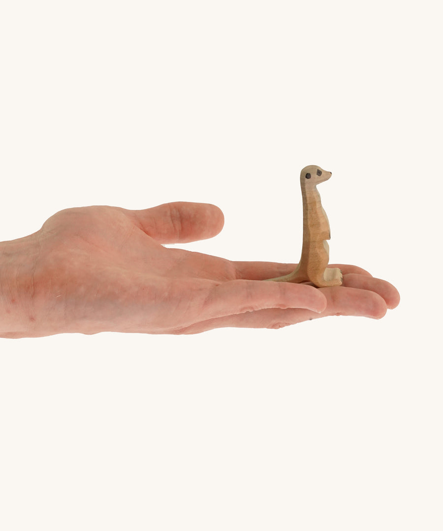 Light brown standing meerkat on a hand