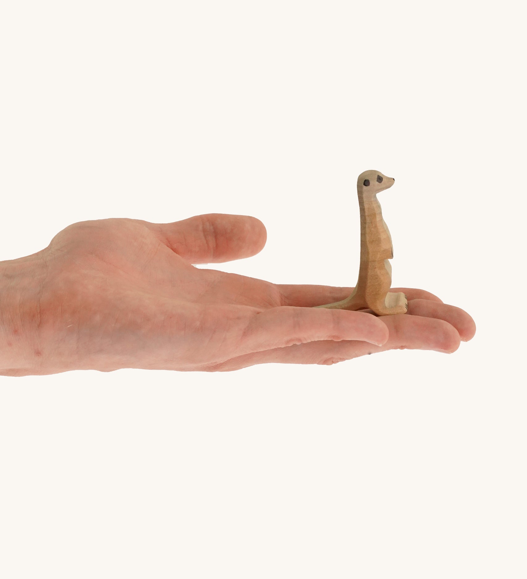 Light brown standing meerkat on a hand