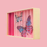 Billes & Co Butterfly Anamorphic Marbles Box - 59 Pack