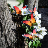 Figurine papillon en bois Bumbu