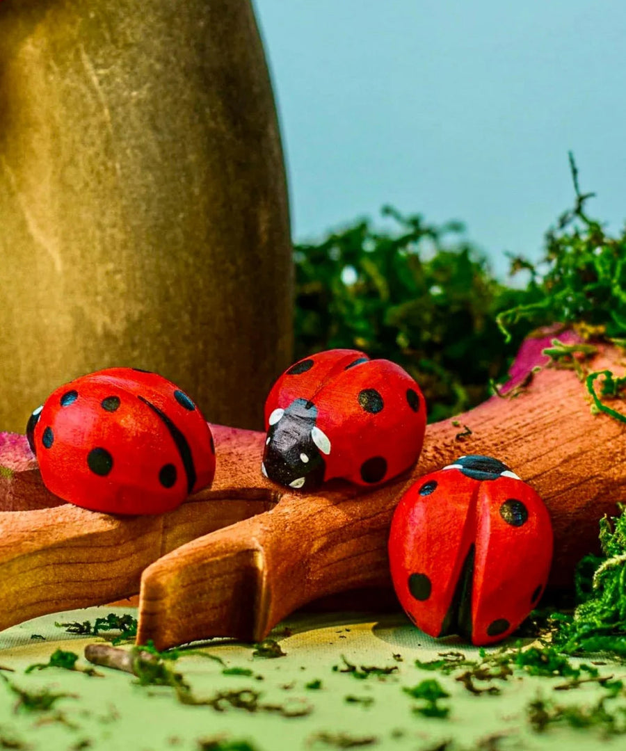 Three Bumbu Wooden Ladybirds in a small world play scene