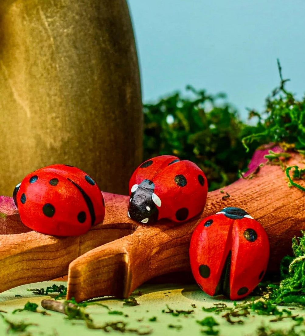 Three Bumbu Wooden Ladybirds in a small world play scene