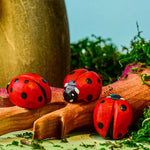 Coccinelle en bois Bumbu