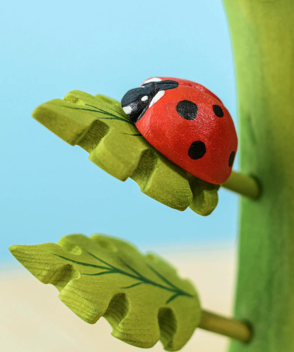 A Bumbu Wooden Ladybird on a leaf a Bumbu tree.