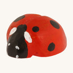 Coccinelle en bois Bumbu