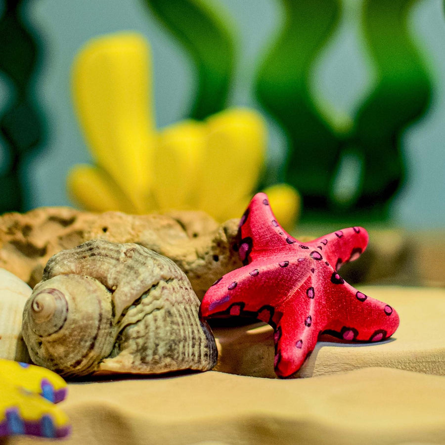 Bumbu Wooden Red Starfish Set set in a tropical beach play scene