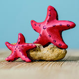 Bumbu Wooden Red Starfish Set