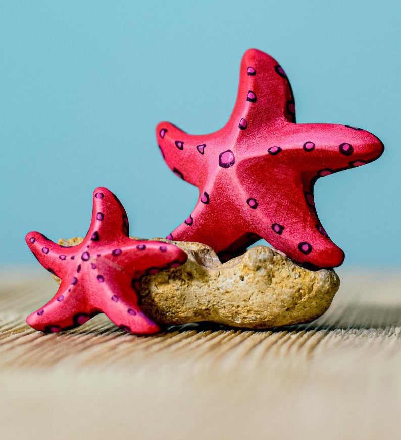 Bumbu Wooden Red Starfish Set with teh starfish shown on and leaning against a rock