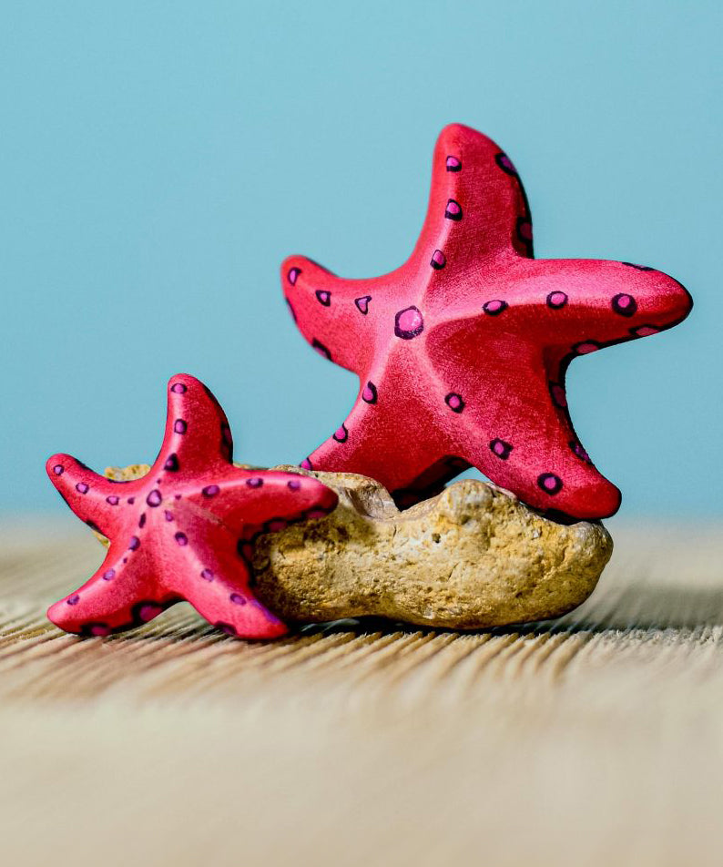 Bumbu Wooden Red Starfish Set with teh starfish shown on and leaning against a rock