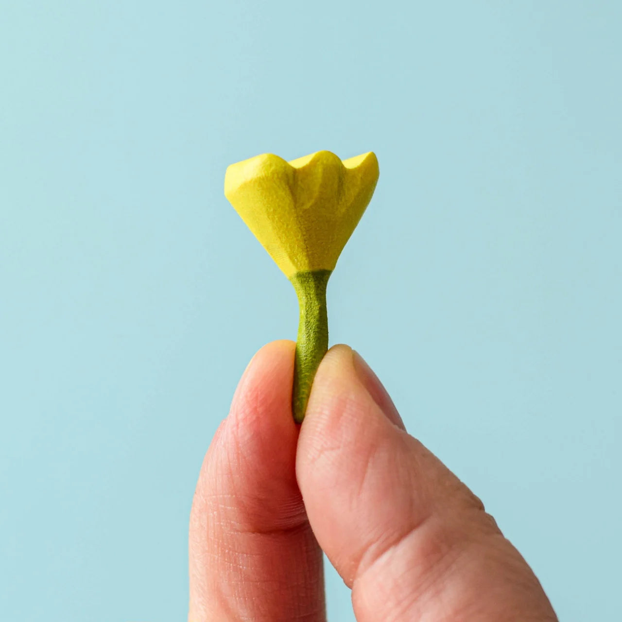 A small and delicate Bumbu Yellow flower being held between a persons finger tips on a light blue background