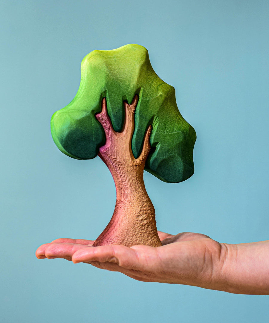 An adult balancing a small Bumbu oak tree onm their hand against a blue background. 