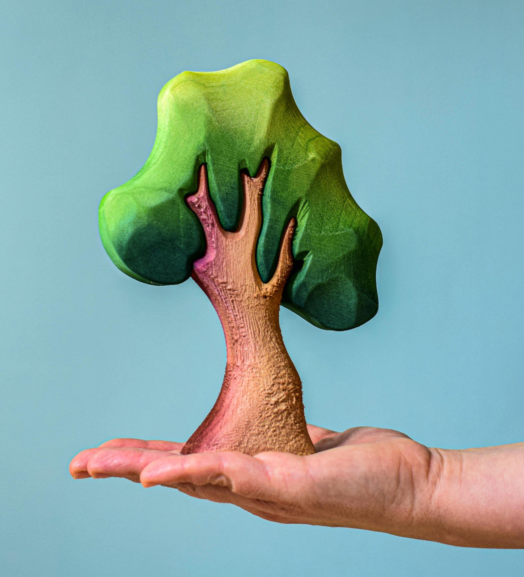 An adult balancing a small Bumbu oak tree onm their hand against a blue background. 