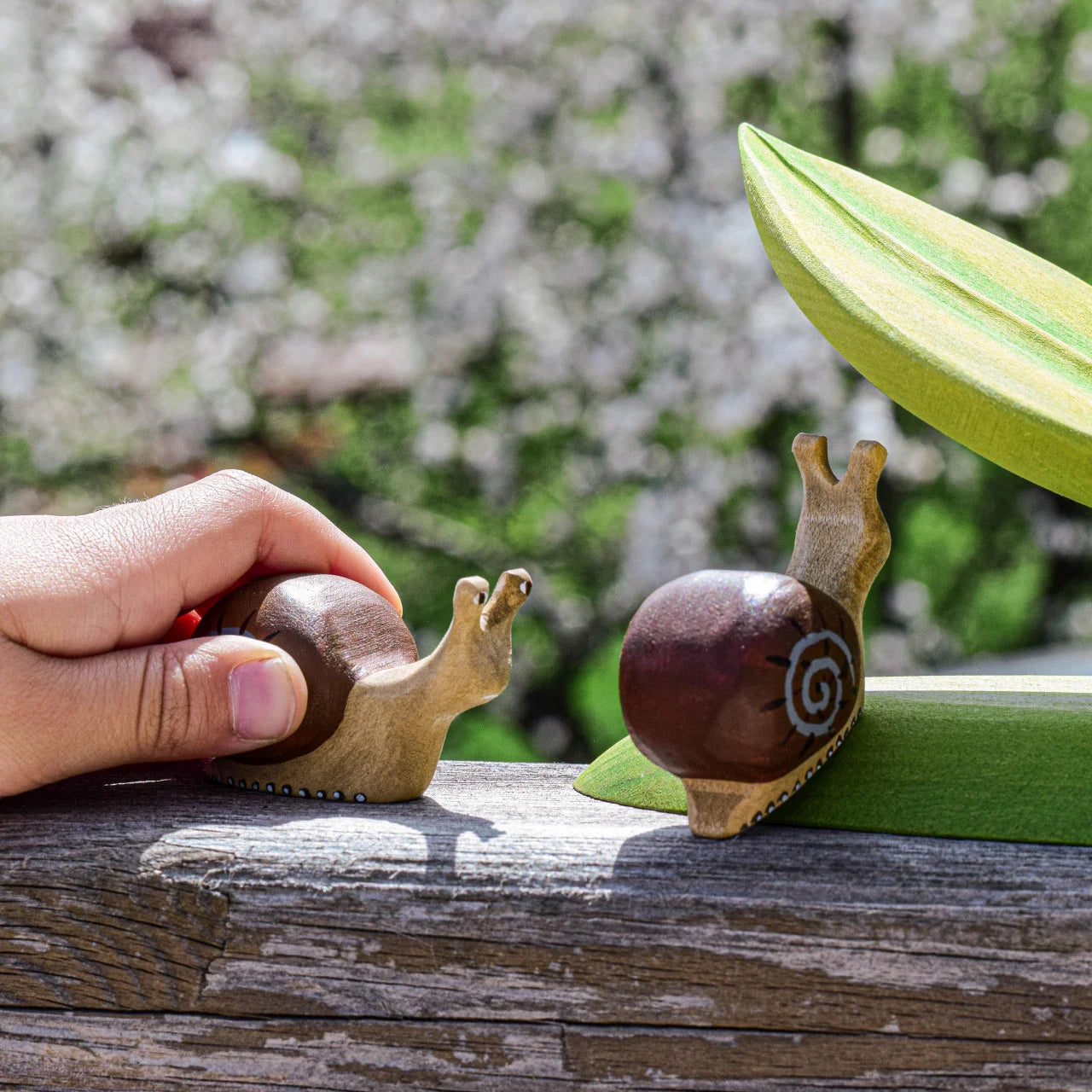  the snail is placed on green coloured wooden slices.