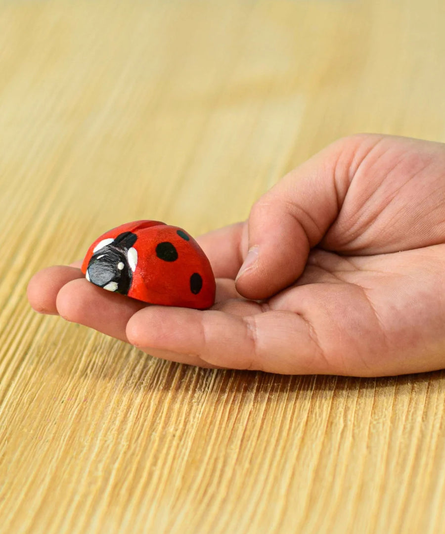 A Bumbu Wooden Ladybird on an adult's hand